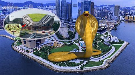 如何化解香港毒蛇陣 客廳 畫